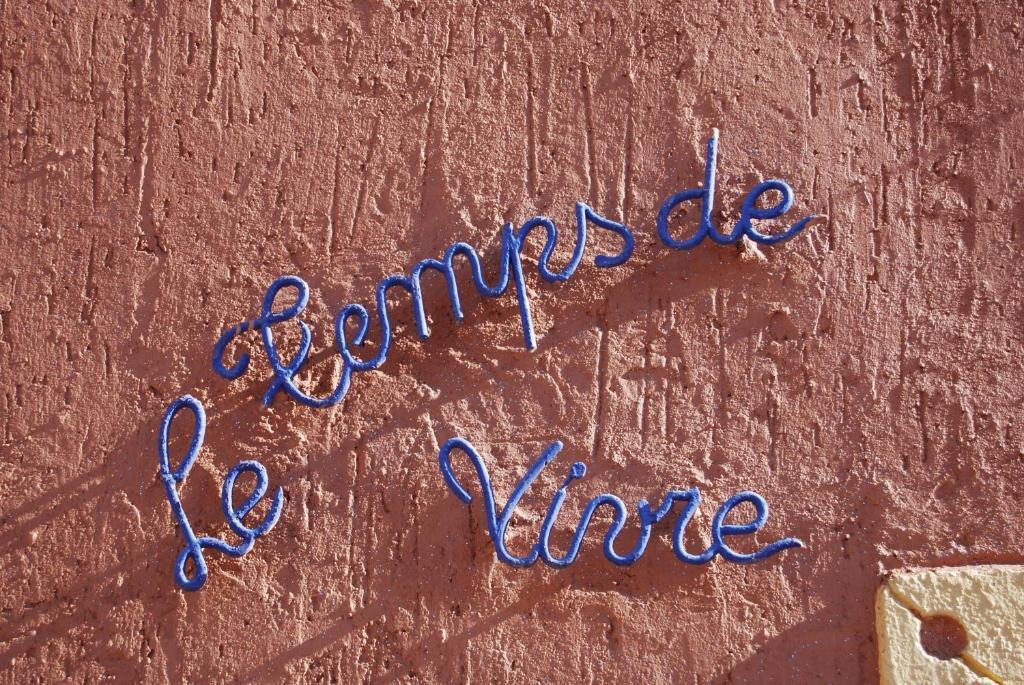 Le Temps De Vivre Bed & Breakfast Варзазат Екстериор снимка